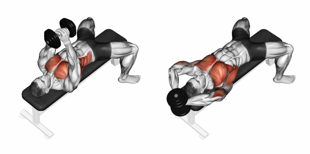 Dumbbell Pullovers Top 10 Back Workouts with Dumbbells