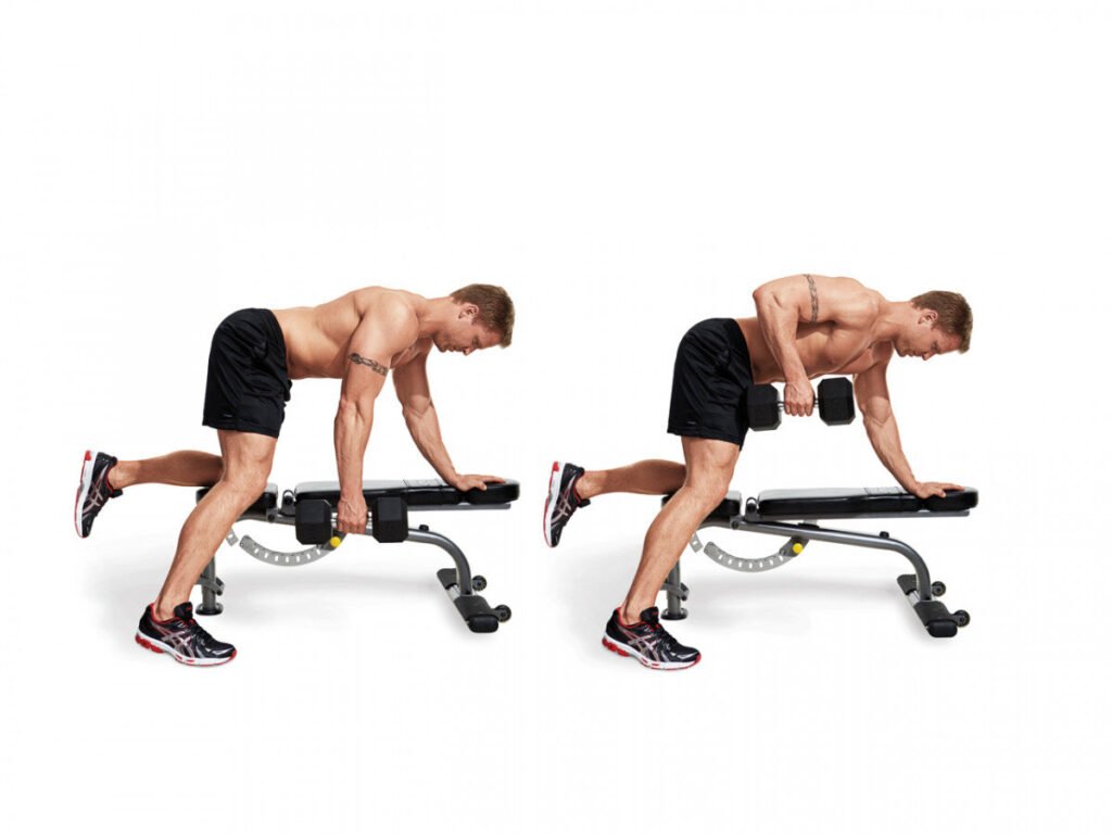 Single-arm dumbbell Rows Top 10 Back Workouts with Dumbbells